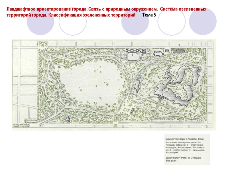 Ландшафтное проектирование города. Связь с природным окружением.  Система озелененных территорий города. Классификация озелененных